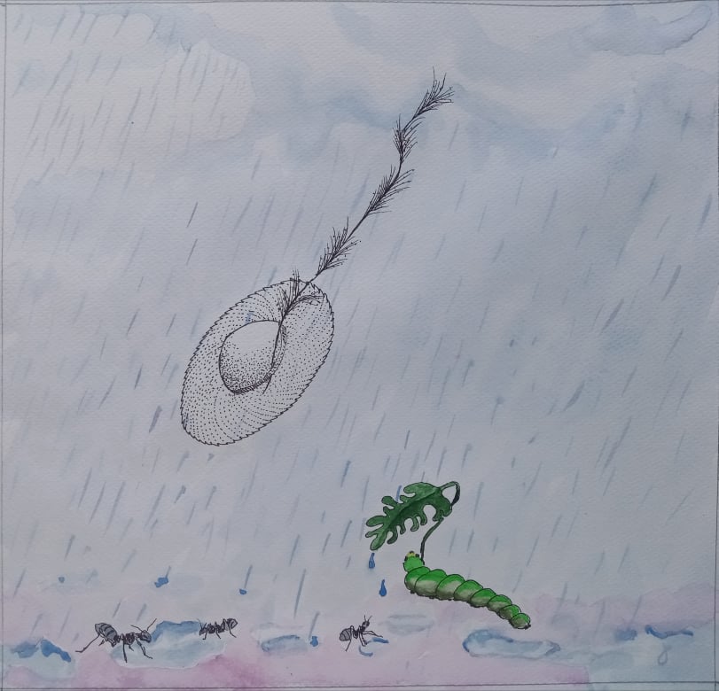 Ψ ψ - ψιχάλες