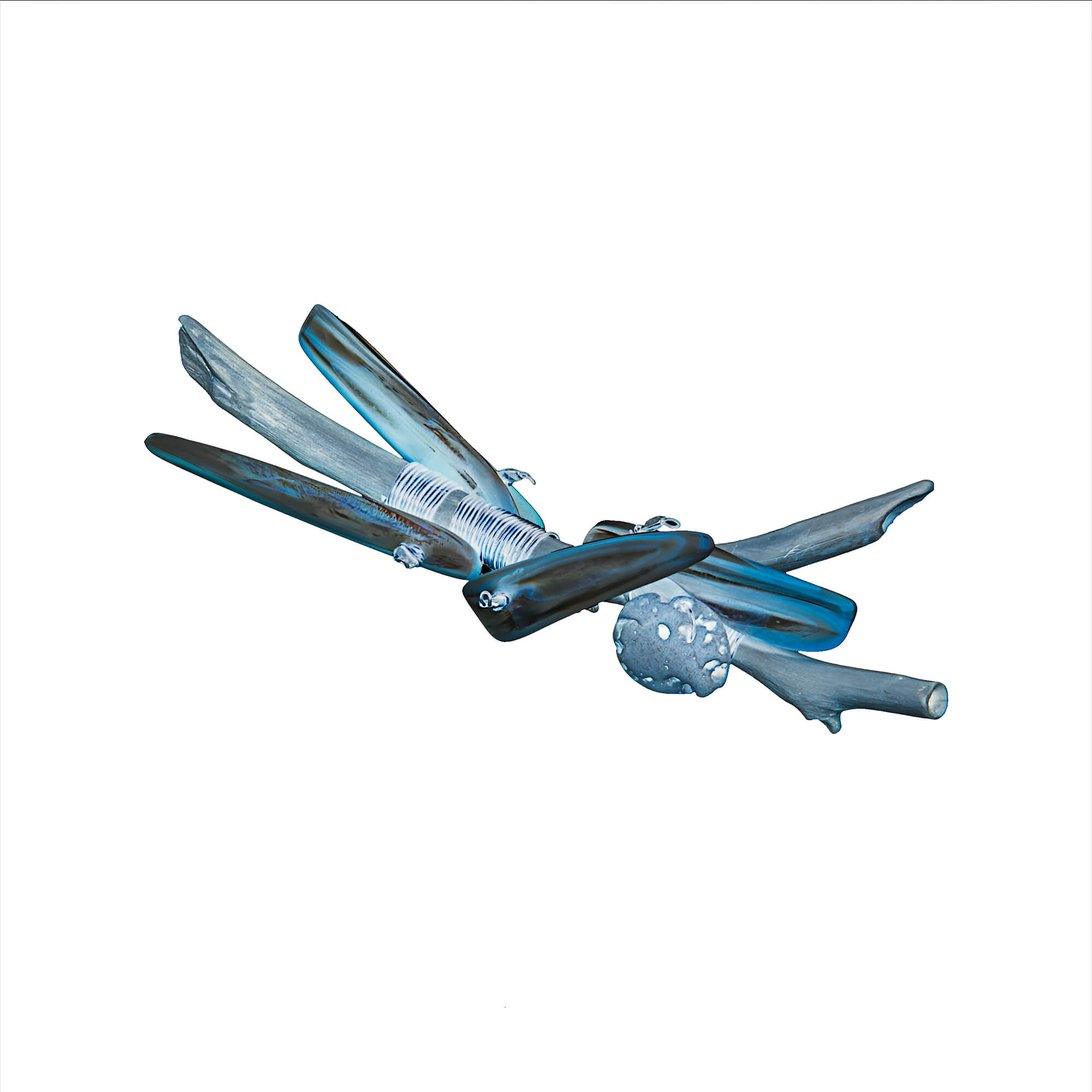 Summer Collection Summer Collection